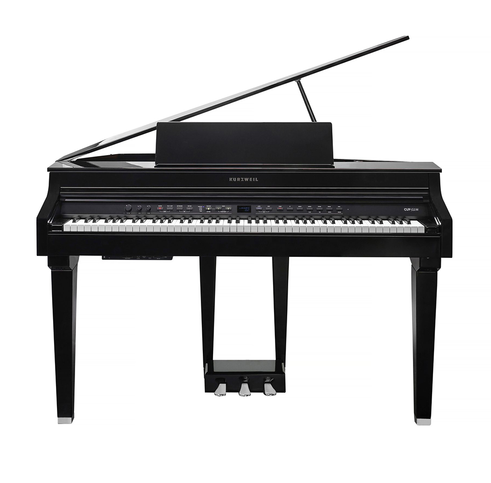 Kurzweil CUP G1W