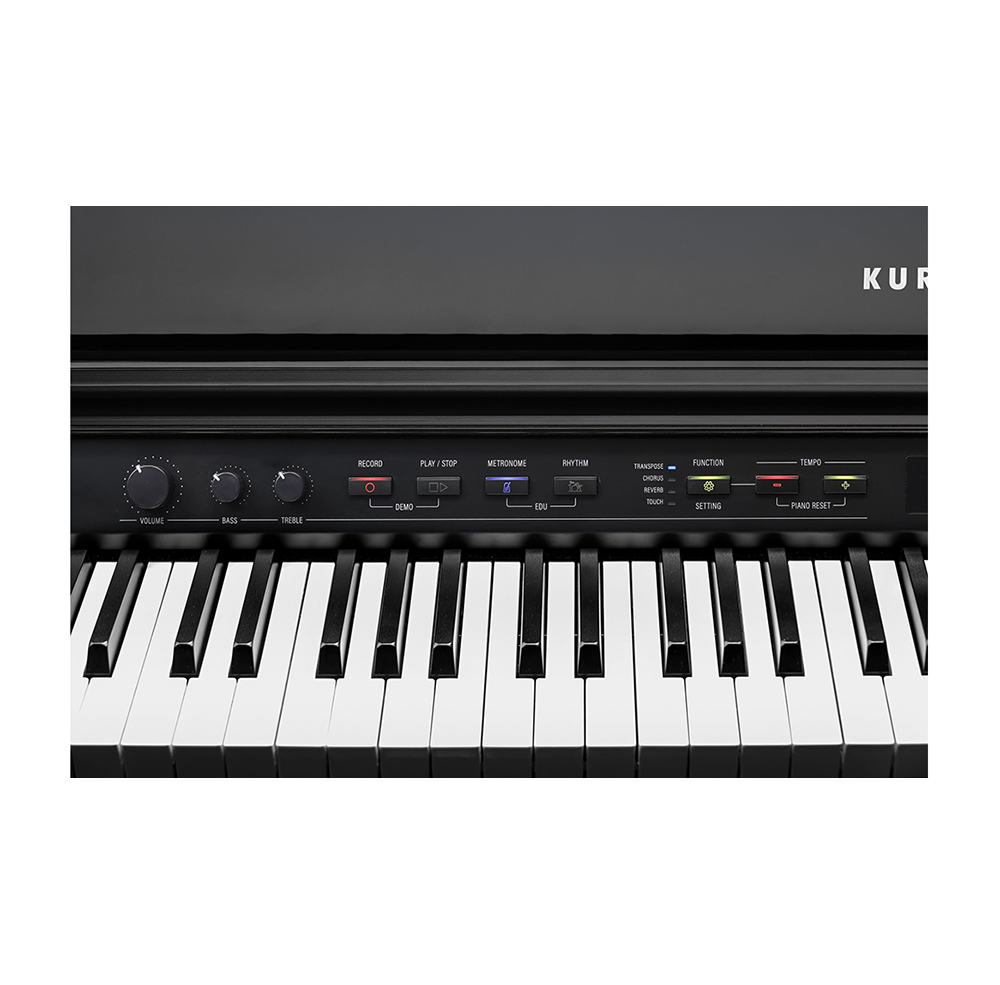 Kurzweil CUP G1W