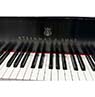 Steinway B