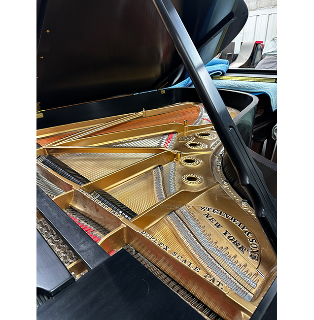 Steinway B