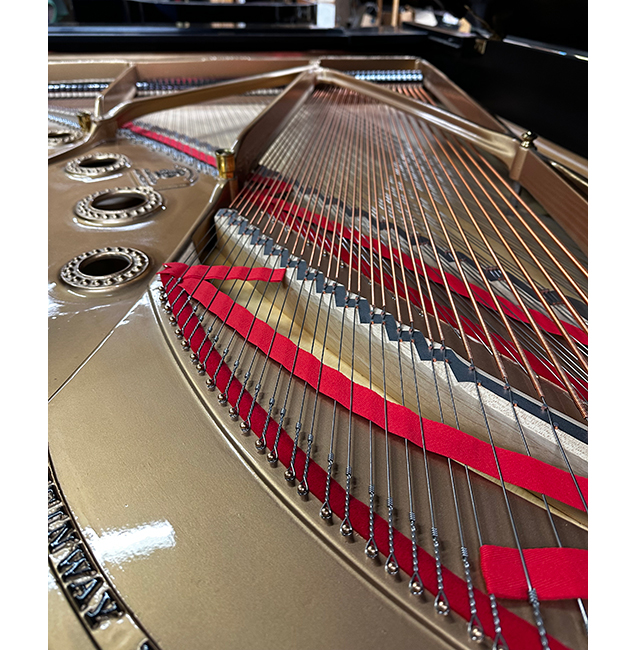 Steinway B