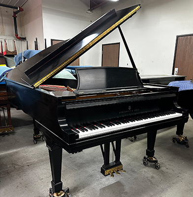 Steinway B