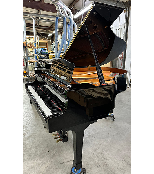 Yamaha C2