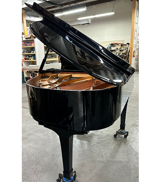 Yamaha C2