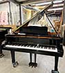 Yamaha C2