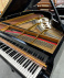 Steinway S