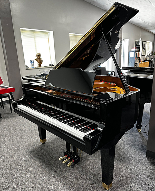 Weber WG-50 PianoDisc