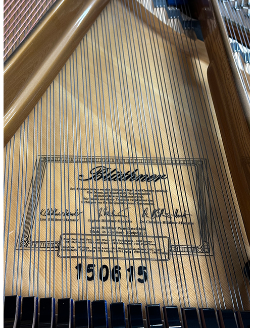 Bluthner Model 2
