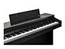 Kurzweil CUP E1