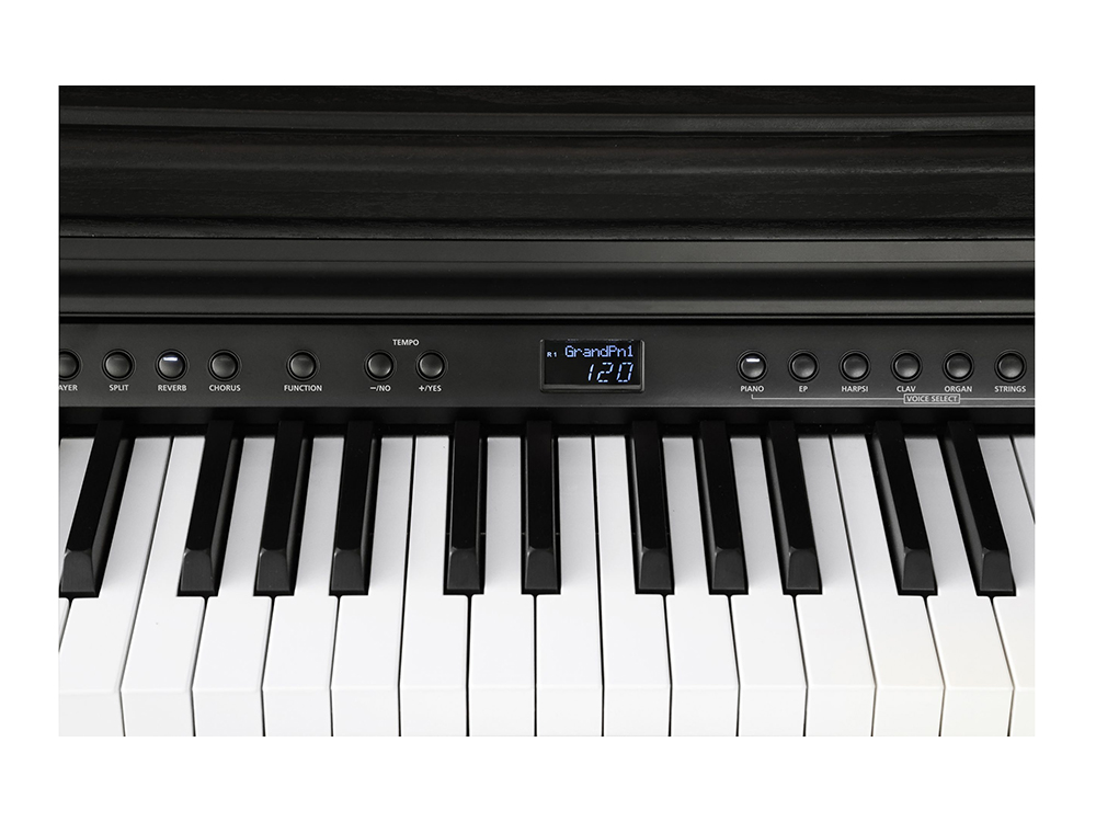 Kurzweil CUP E1