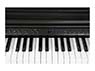 Kurzweil CUP E1