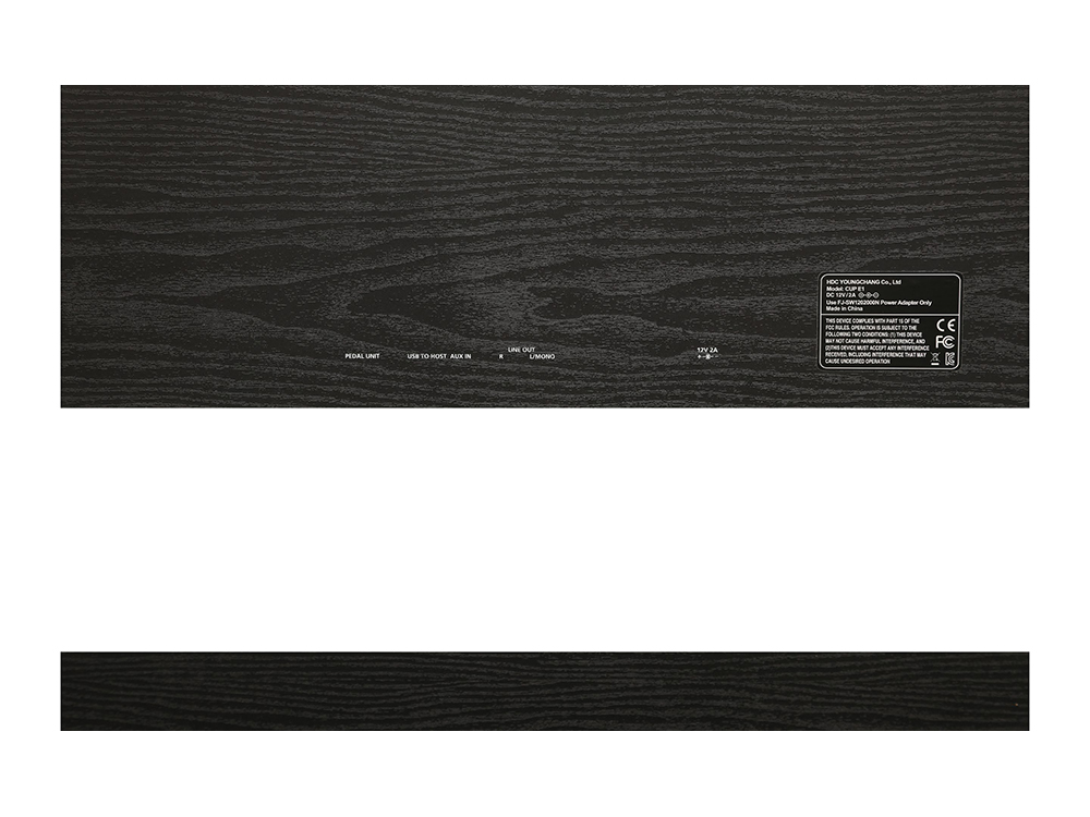 Kurzweil CUP E1