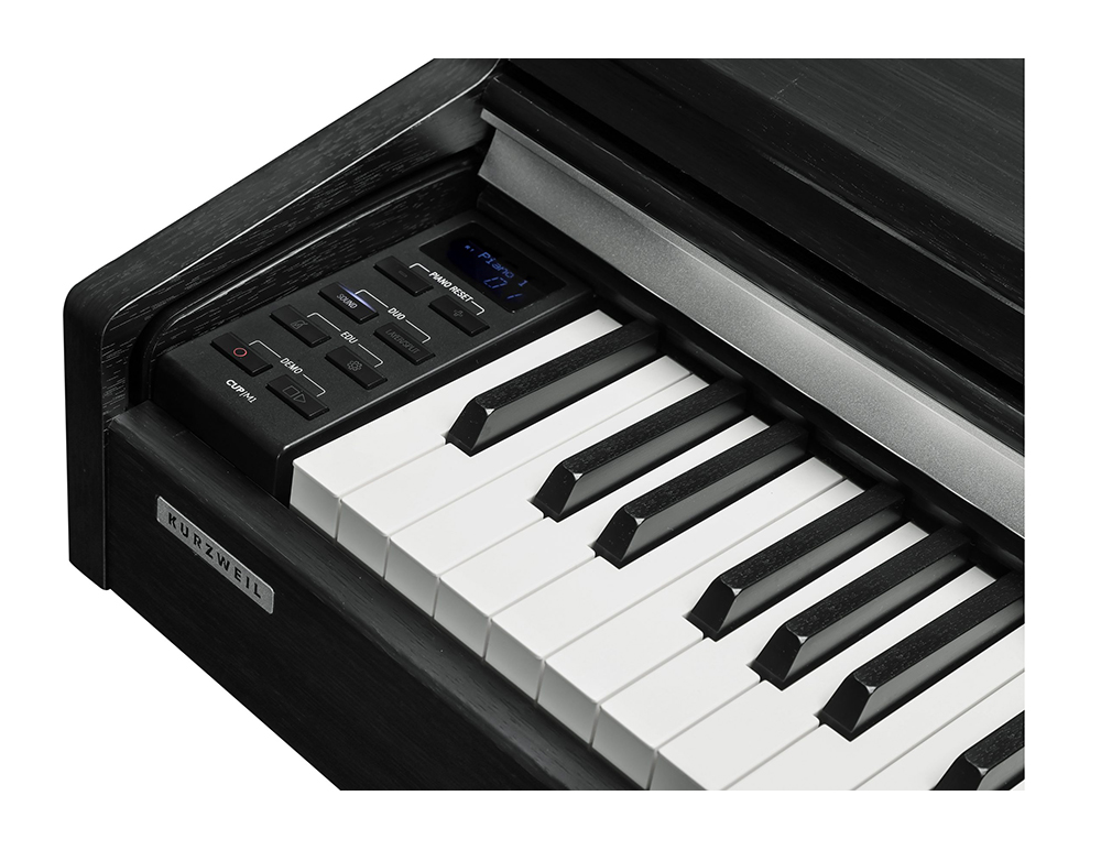 Kurzweil CUP M1