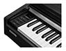 Kurzweil CUP M1