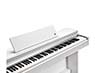 Kurzweil CUP M1