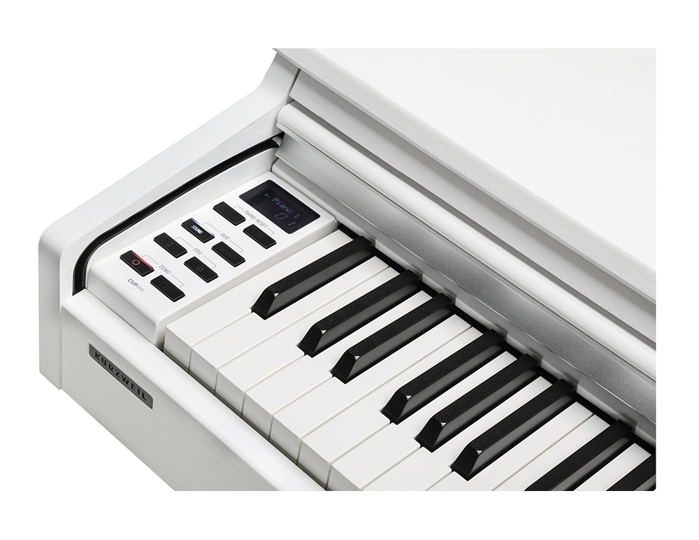 Kurzweil CUP M1