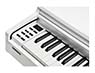 Kurzweil CUP M1