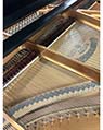 Heintzman Grand