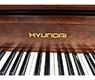Hyundai U824F