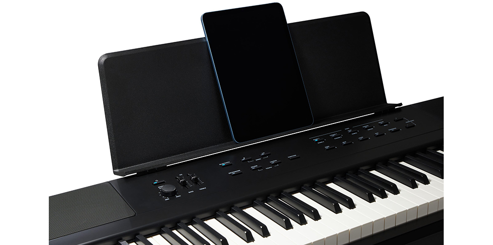 Kurzweil KaE1