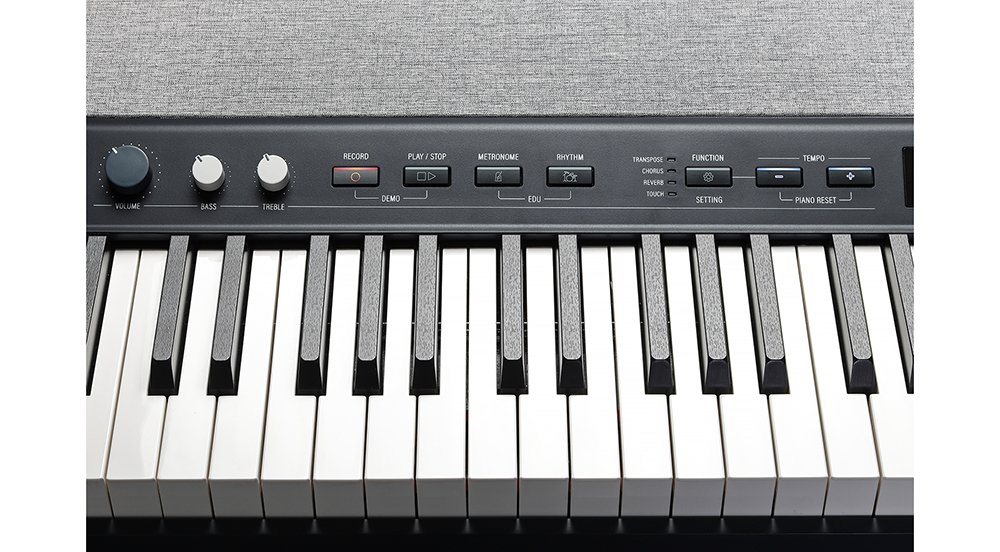 Kurzweil KaP1