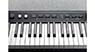 Kurzweil KaP1