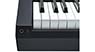 Kurzweil KaP1