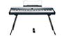 Kurzweil KaP1
