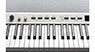 Kurzweil KaP1