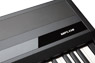 Kurzweil MPS110