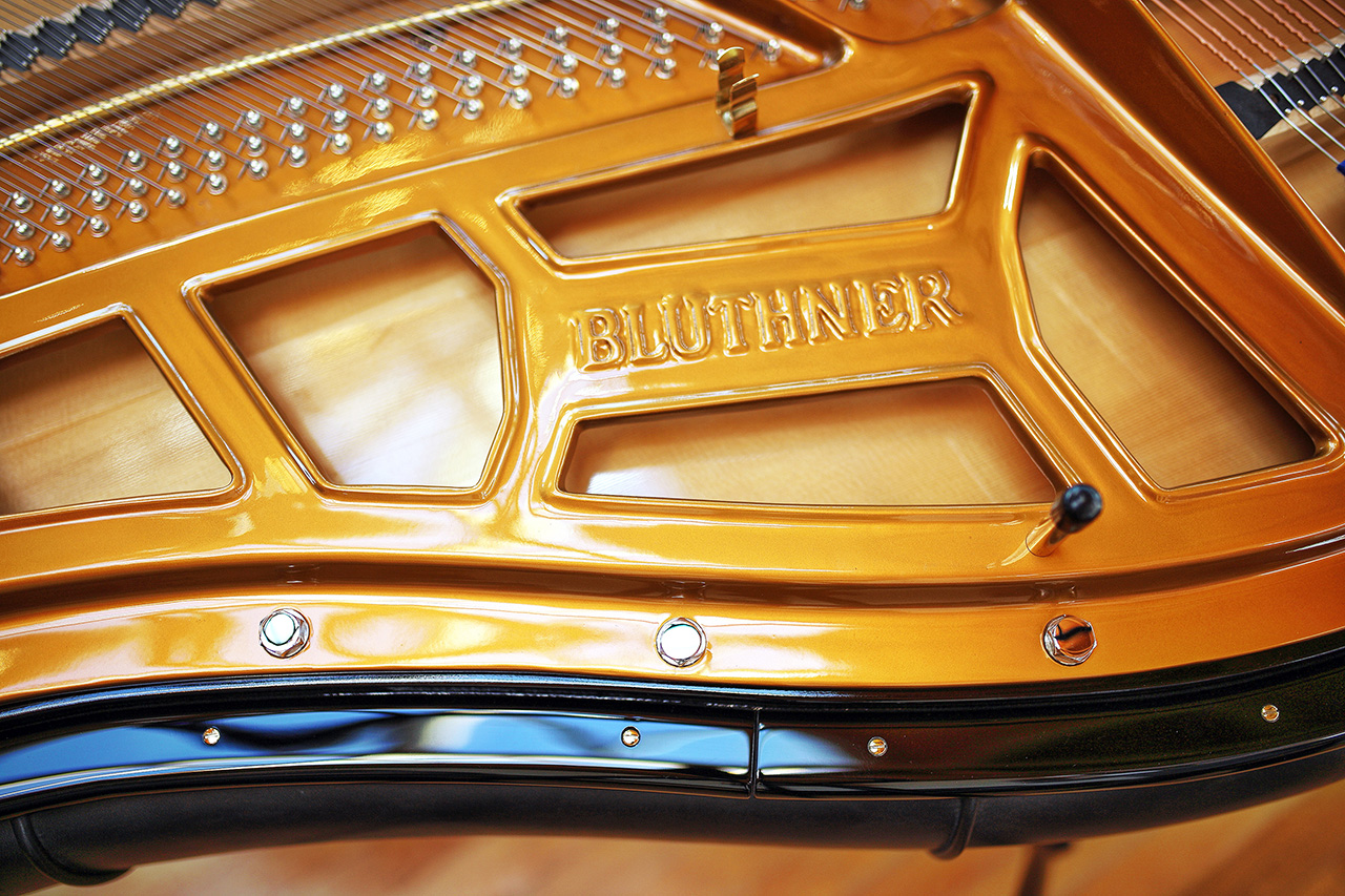 Customized Plate
