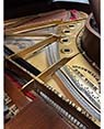 Steinway B Fischer