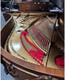 Steinway B Fischer