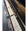 Steinway K