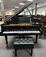 Steinway M