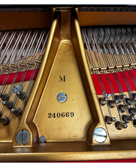 Steinway M