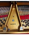 Steinway M