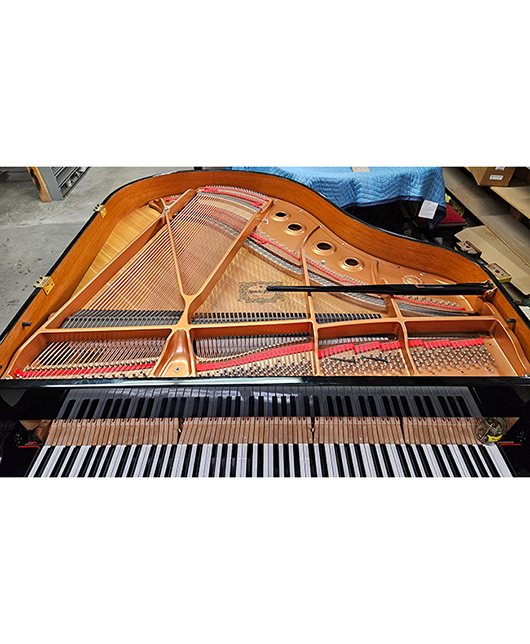 Yamaha GB1