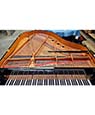 Yamaha GB1