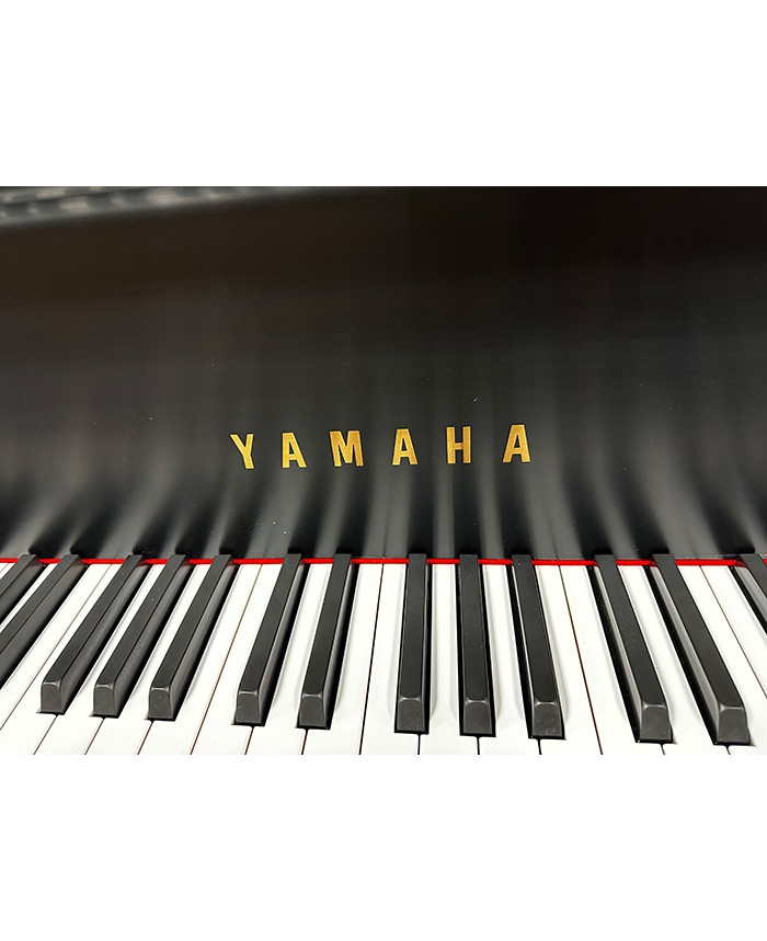 Yamaha GH1