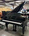Yamaha GH1