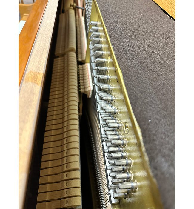Yamaha P22