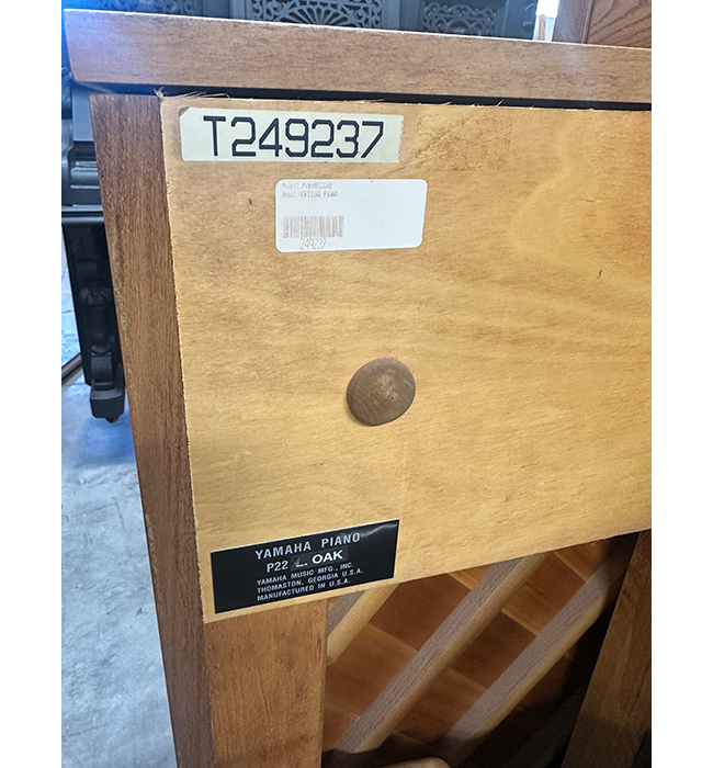 Yamaha P22