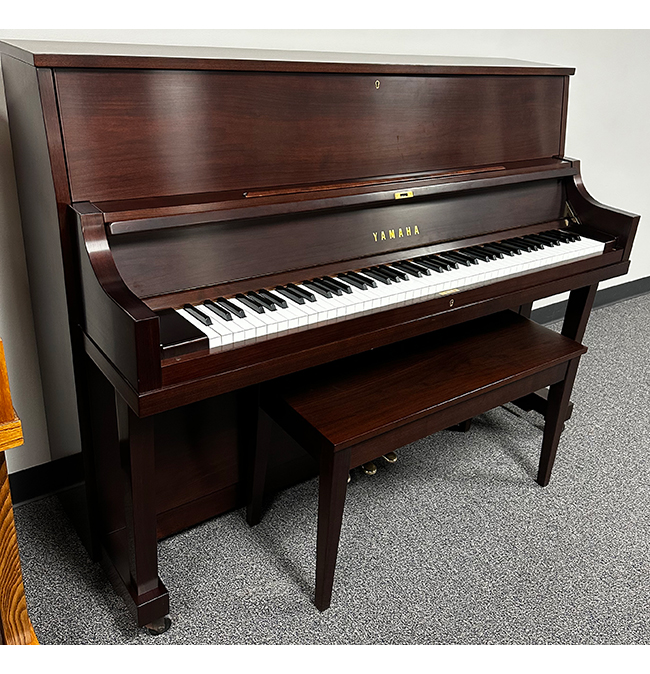 Yamaha P22