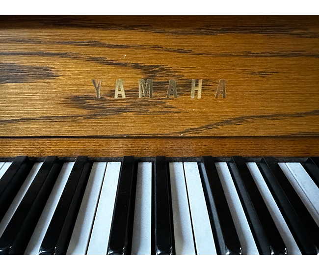 Yamaha P22