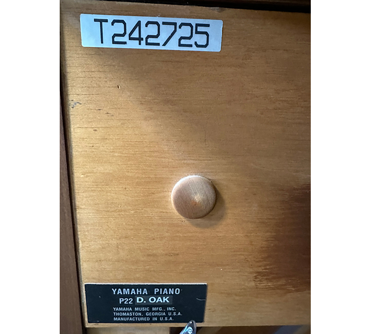 Yamaha P22