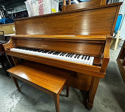 Yamaha P22